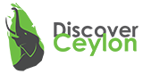 Ceylon Tours Bellpepper Ceymoss Web Development